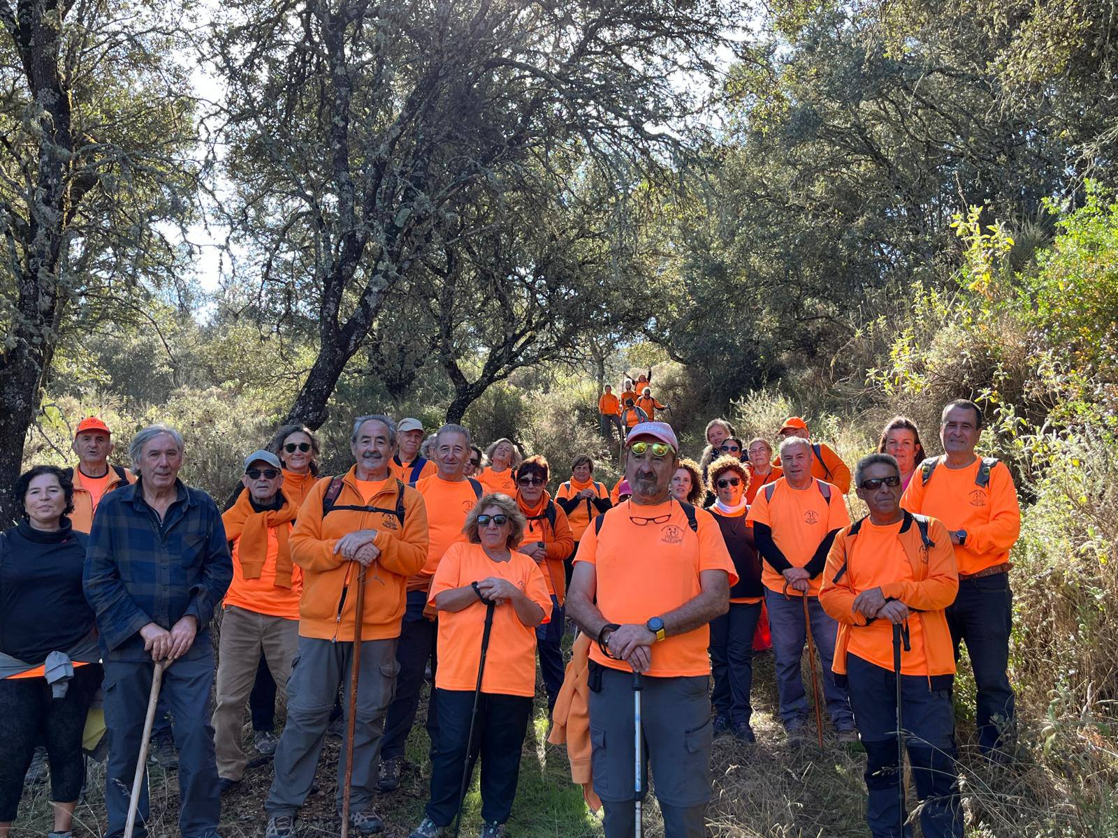 Un alto en el camino