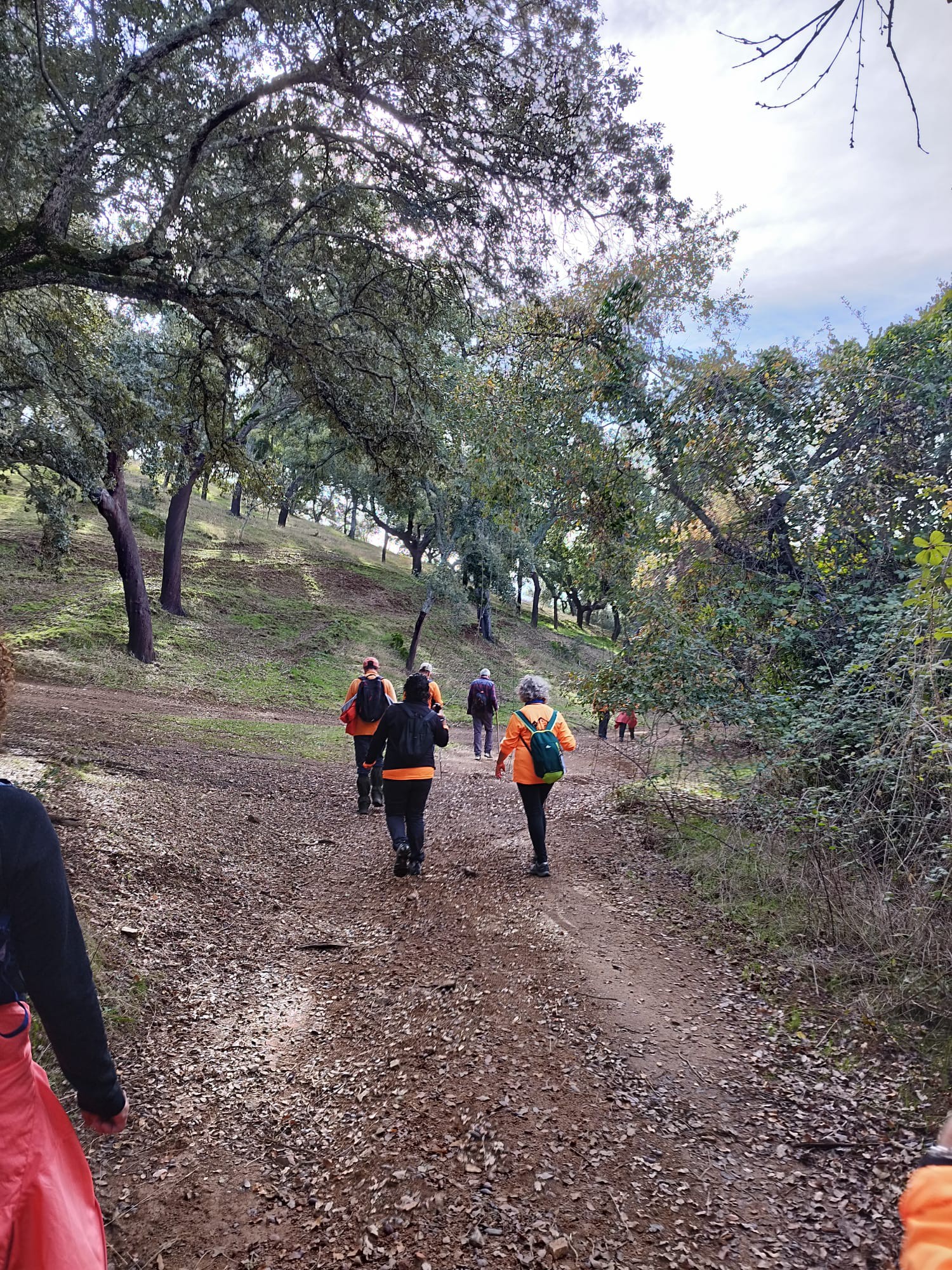 Foto de un tramo de la ruta